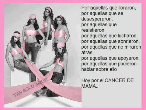 (:Octubre se viste se rosa:) - Página 3 Cancer+mama