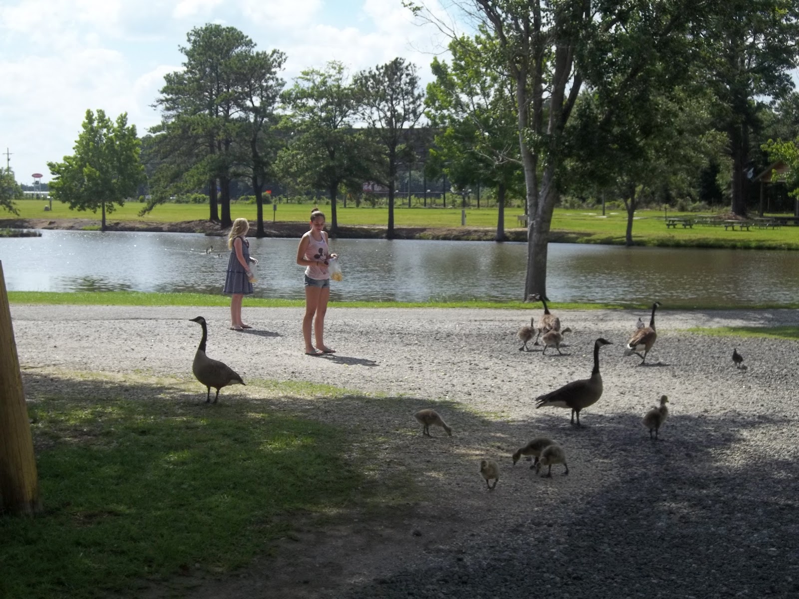 Fenn Family Adventure Florence SC RV Park