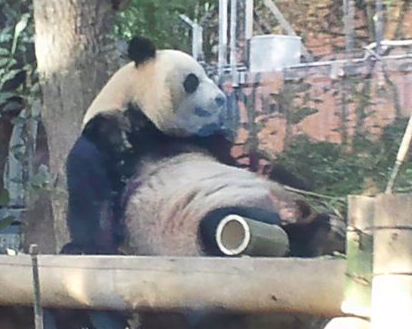 20111110-20111109_1.JPG