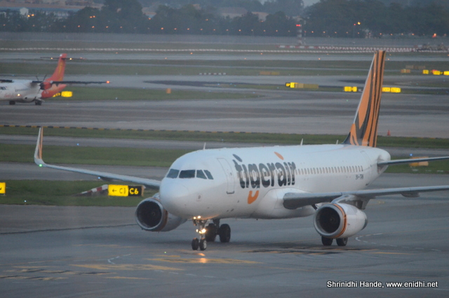 tigerair additional baggage cost