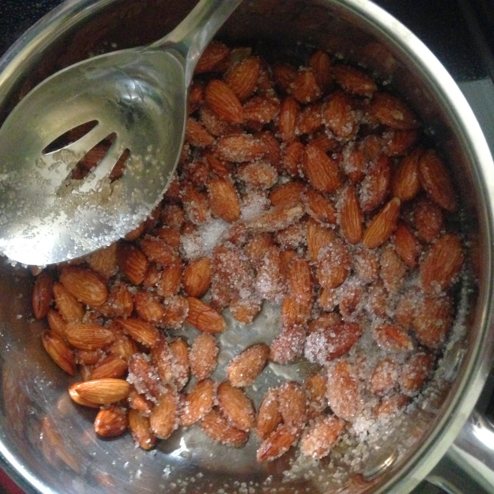 Surviving Motherhood Cocoa Covered Almonds Sugar Free/ Low Carb/THM (S