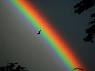 Fotografias de arcoiris