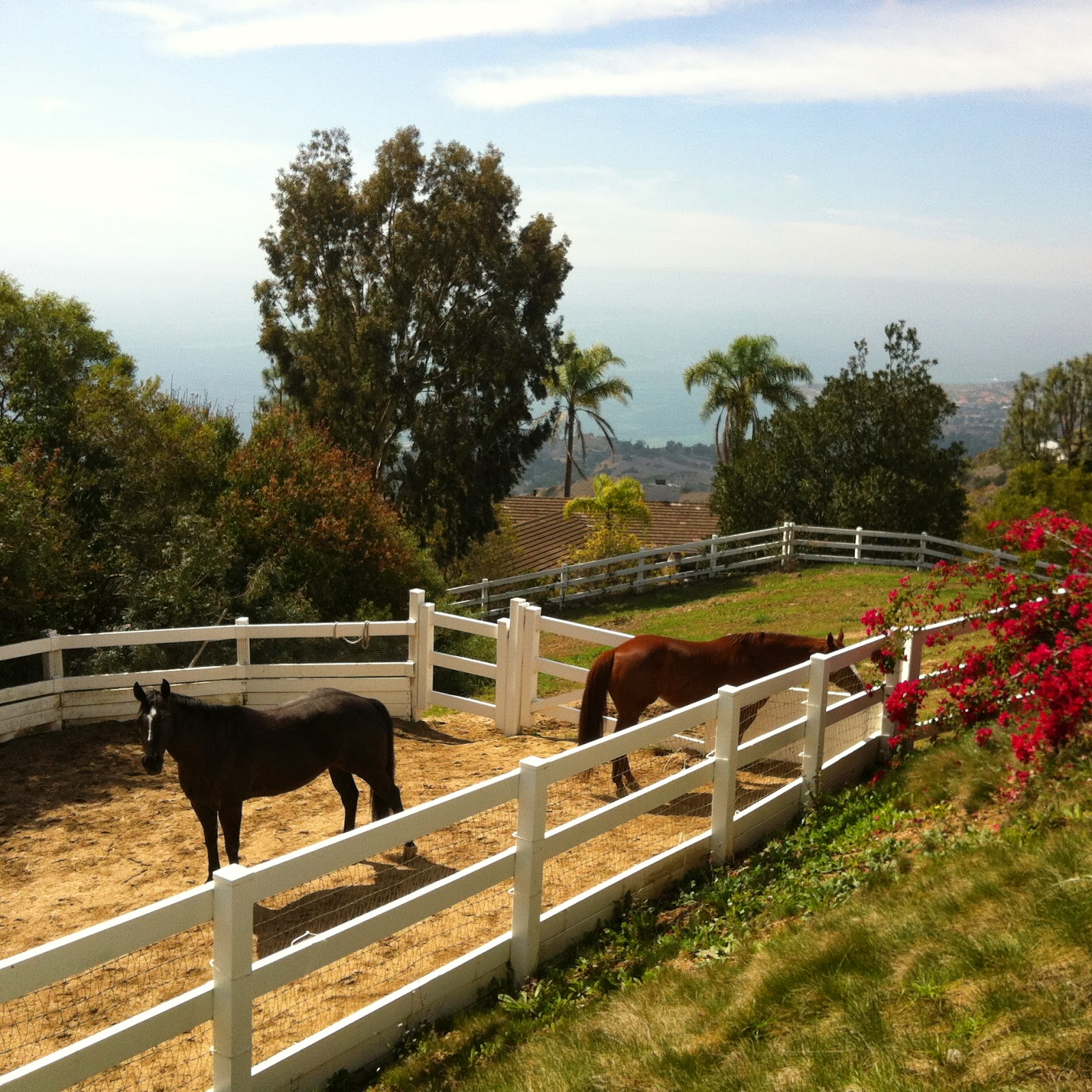 Palos Verdes Horse Property 3104938333 Time's Effect on Rolling