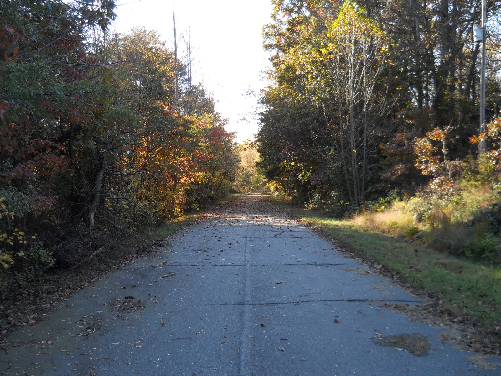 Rooftop Reviews Old Roads "Any Road Will Take You There"