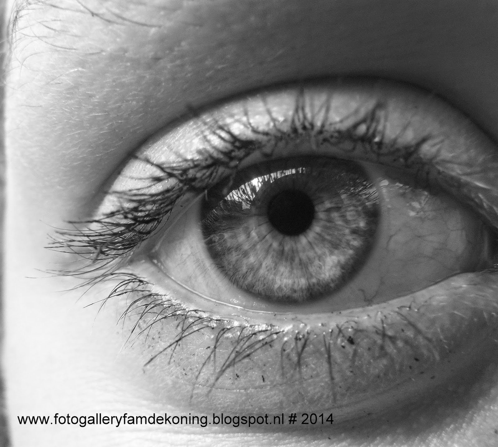 Foto gallery familie de koning: oog van onze dochter foto 5 daagse ...