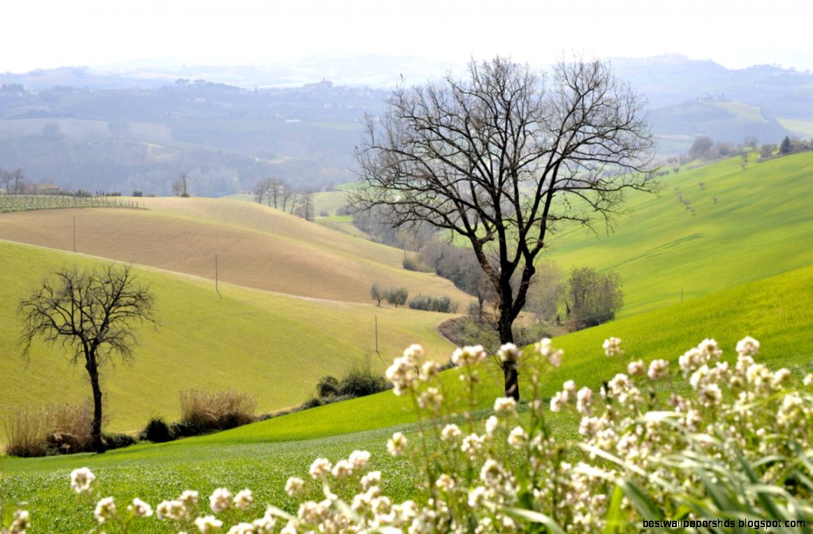 Marche Italy Landscape Marche Italy Landscape