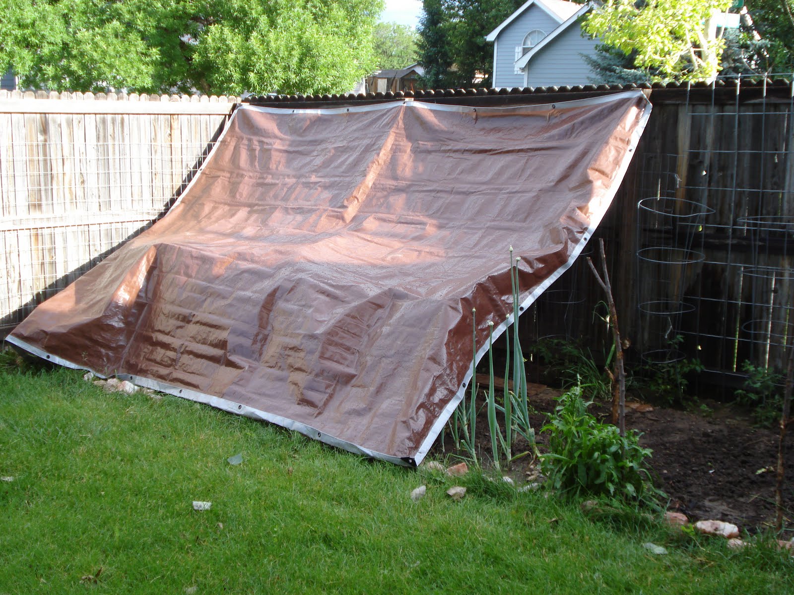 Jodys ReCreations The Hail Protection Worked