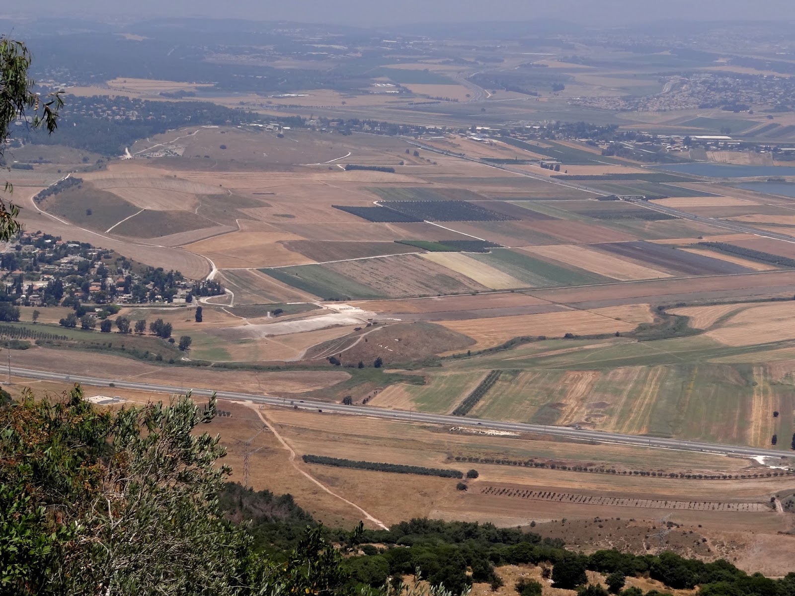 The Jezreel Valley Bible Junkies