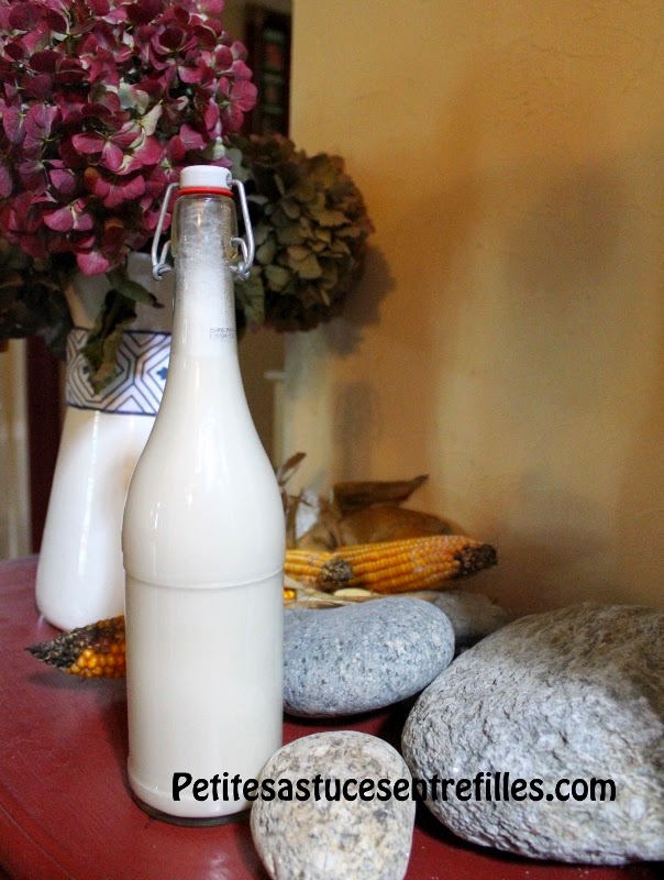http://www.petitesastucesentrefilles.com/2014/10/lait-damandes-fait-maison.html