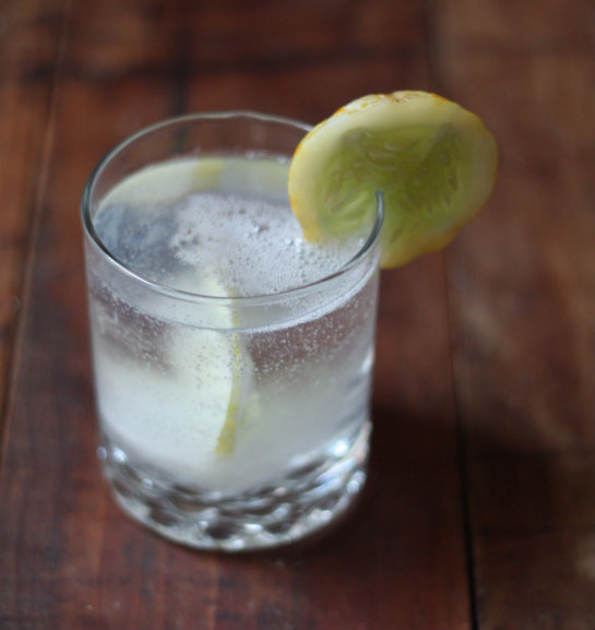 Lemon Cucumber Gin & Tonic Recipe 17 Apart