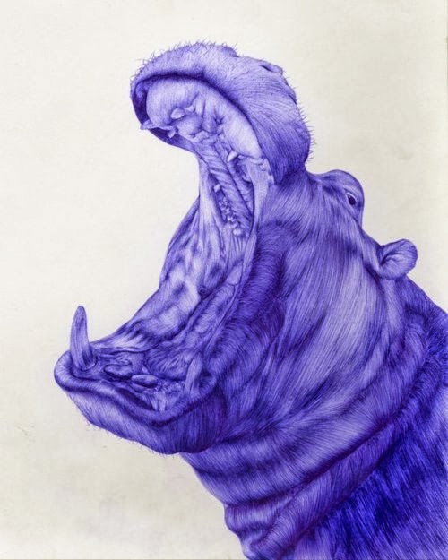 08-Hippo-Sarah-Esteje-ABADIDABOU-Hyper-realistic-Ballpoint-Pen-Animals-www-designstack-co