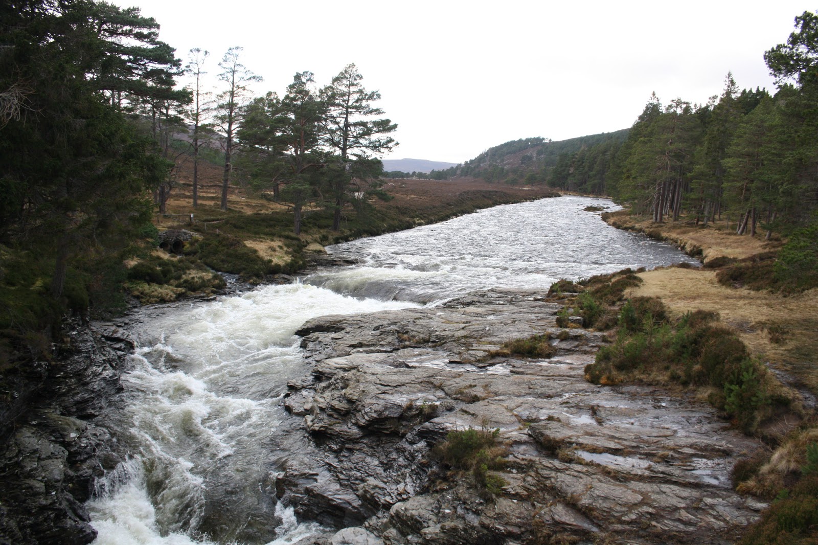 Dee & Don Salmon Fishing Linn O' Dee