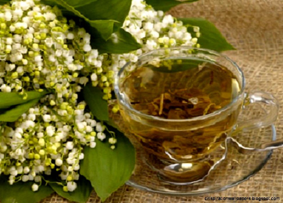 Flowers Lily Valley Cup Tea Flowers Life Free Desktop Wallpaper Flowers Lily Valley Cup Tea Flowers Life Free Desktop Wallpaper