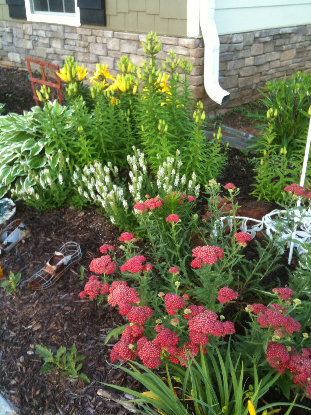 My Journey To A New Me!!! Gardening A Workout That Is