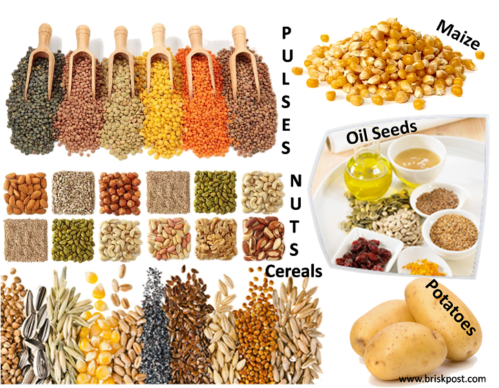 3 Forms of Carbohydrate Rich Food Know the Sources of Energy Brisk Post
