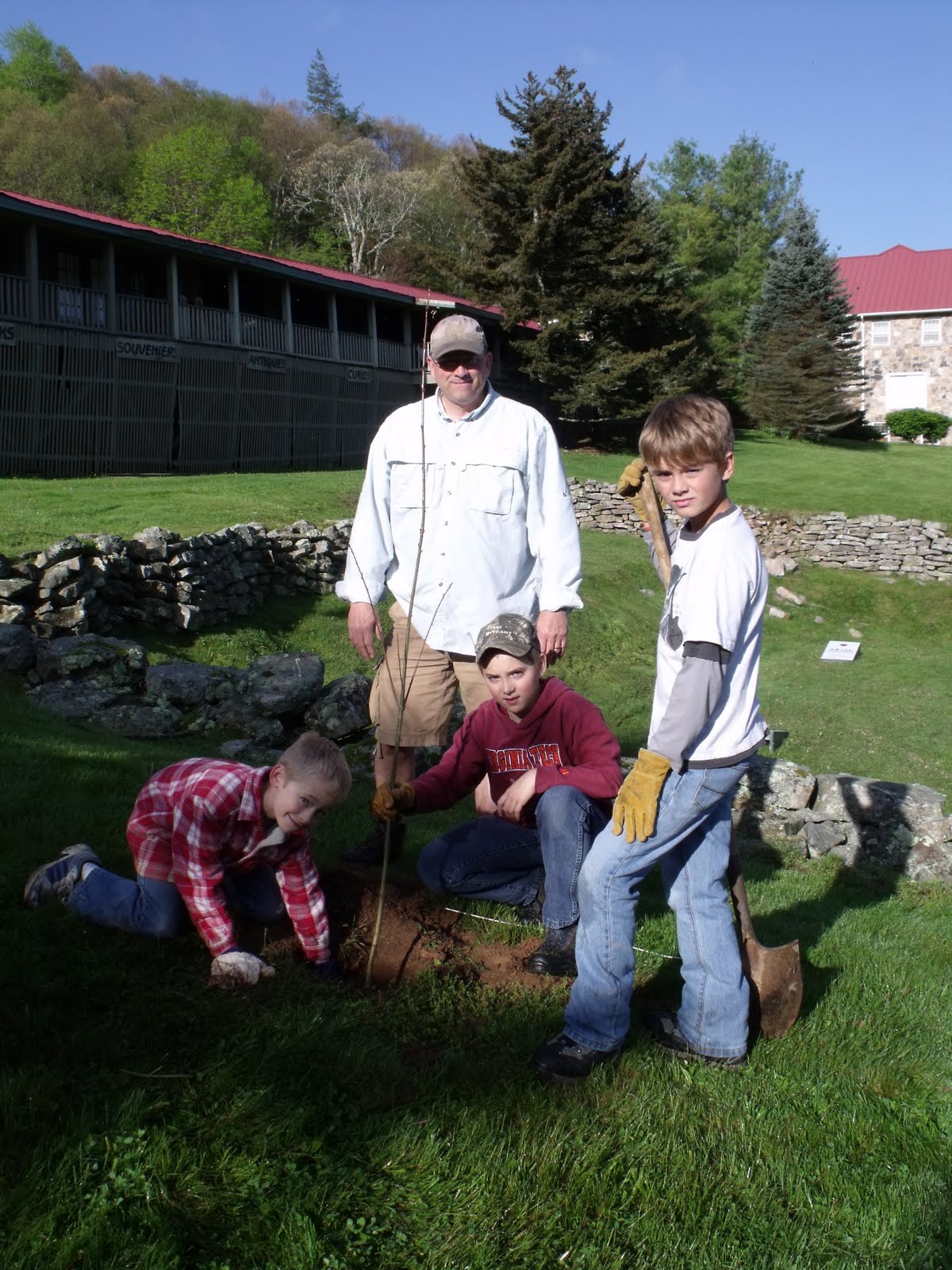 Mountain Lake Conservancy Cub Scouts Conservation Project Tree