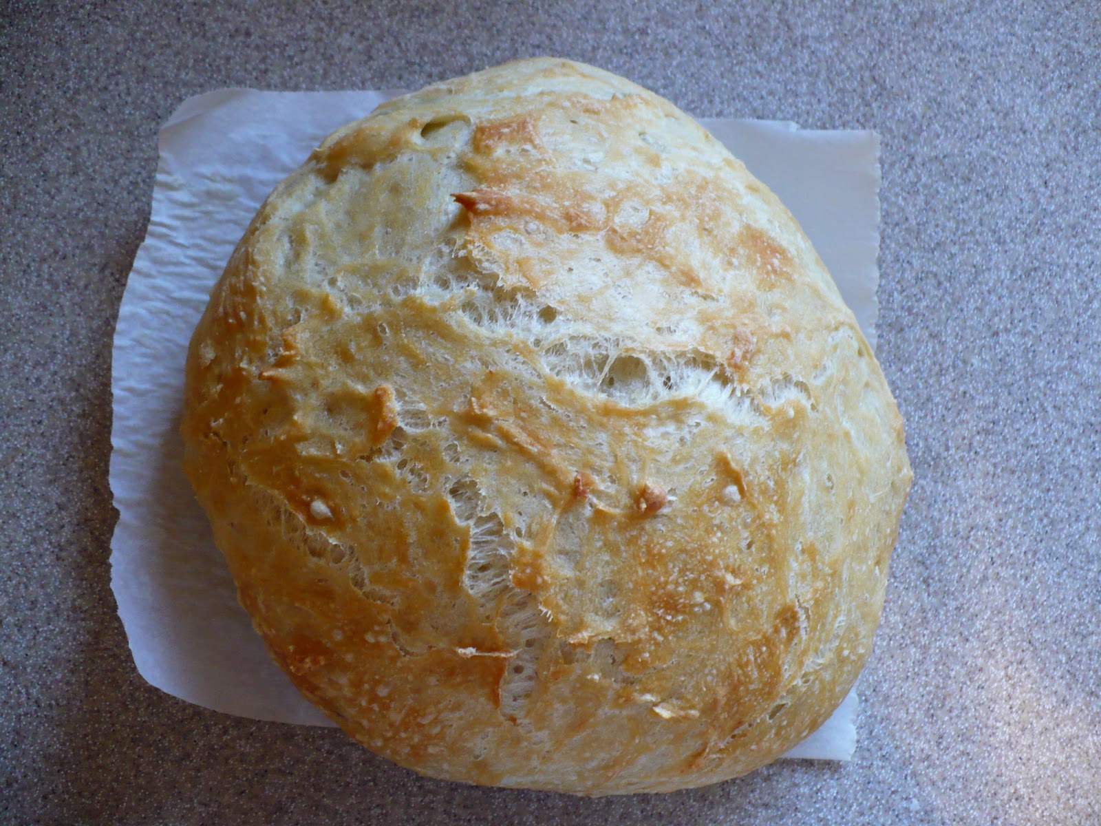 The Tasty Cheapskate Whole Wheat Refrigerator Bread