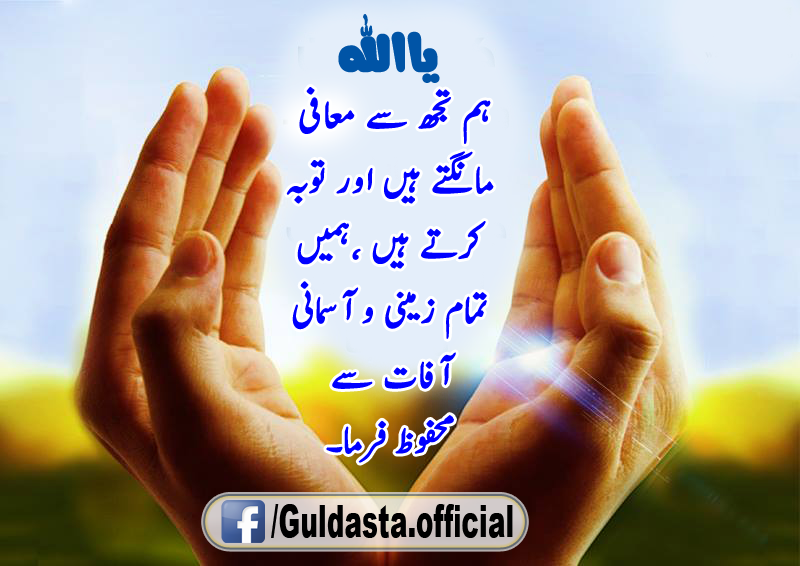 essay in urdu on knowledge essay in urdu on knowledge