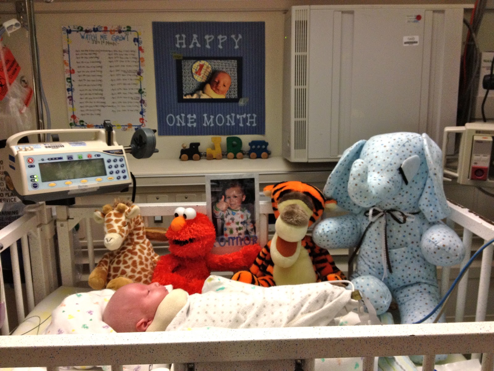 Our Family in a Snapshot MTV Cribs NICU Edition