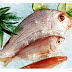 กินอาหารเสริมน้ำปลาไม่ถูก เสียตังฟรี