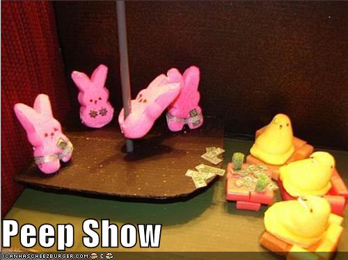 funny easter quotes. happy easter funny quotes