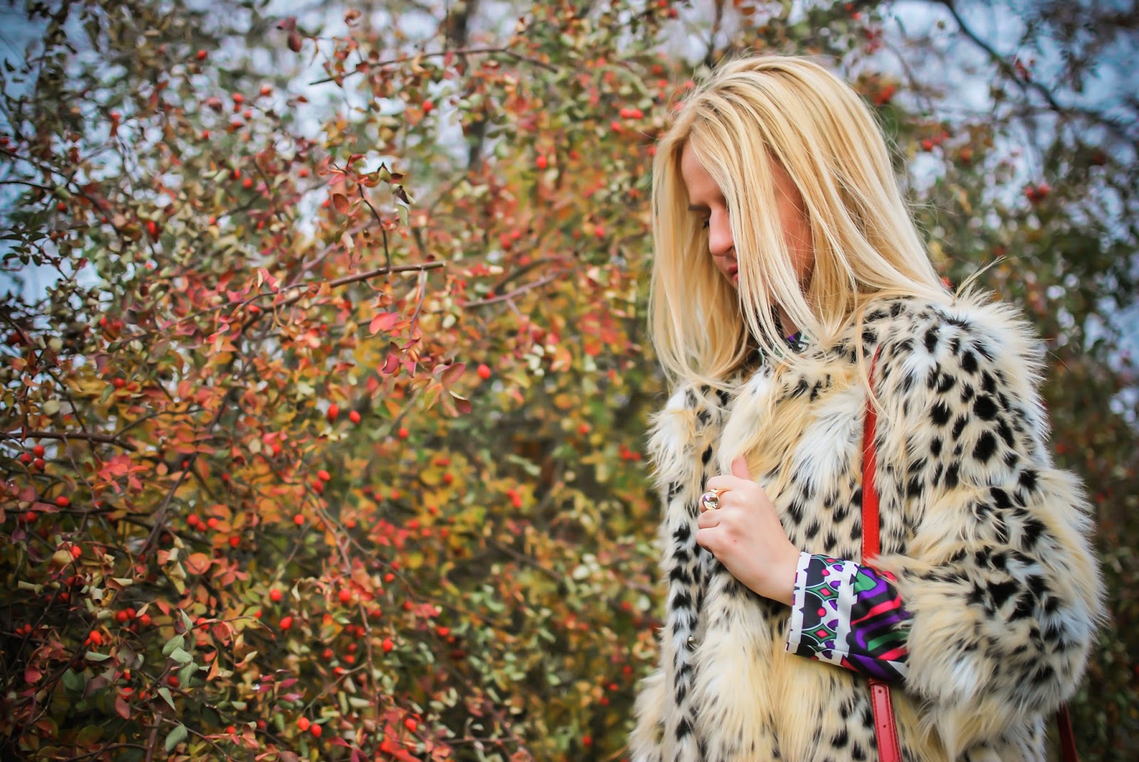 animal print, leopard jacket, fashion blogger, blog, russian blog