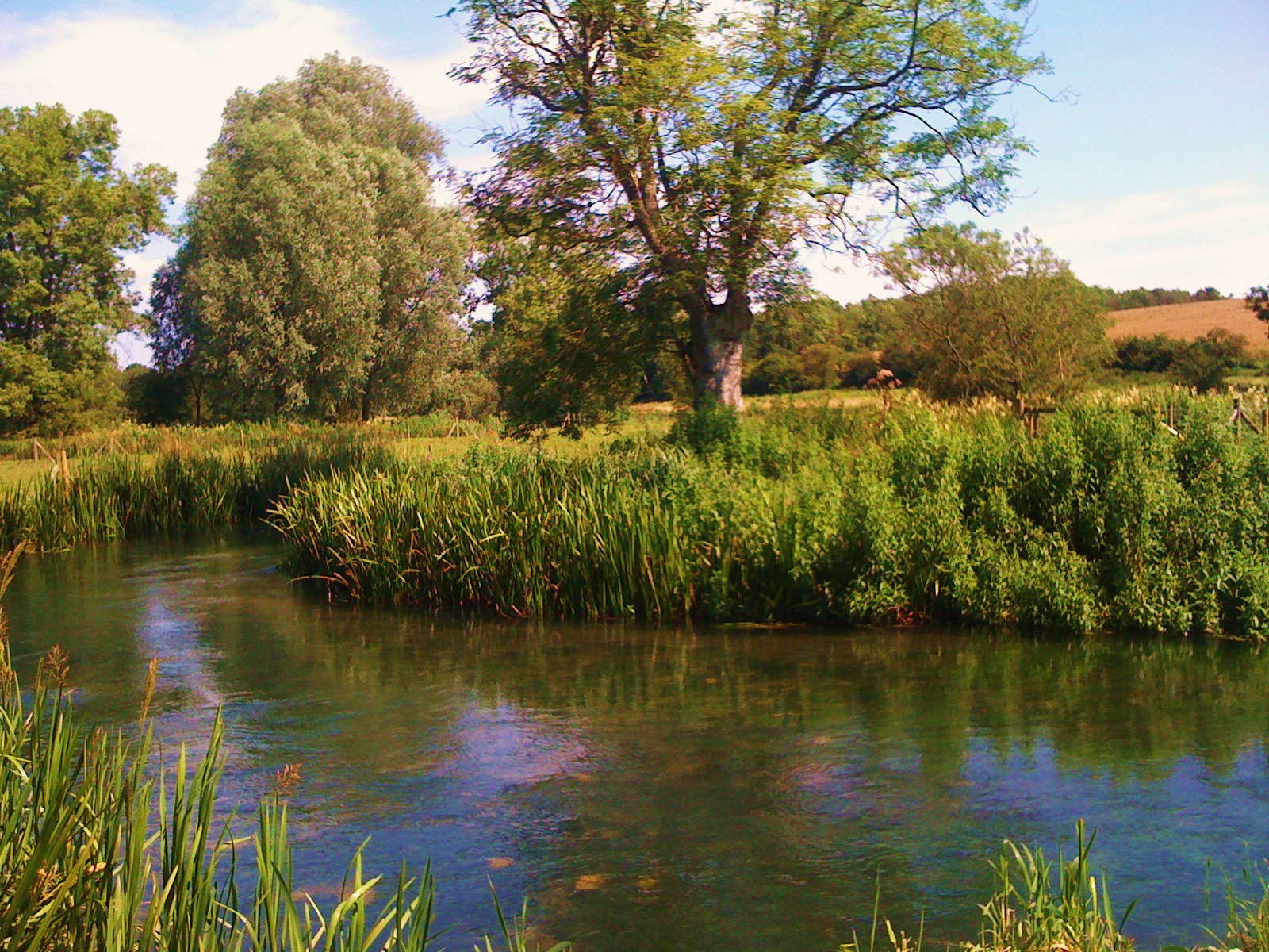 Cotswold Cup of Tea Walk 7 Quenington, The Keepers Arms