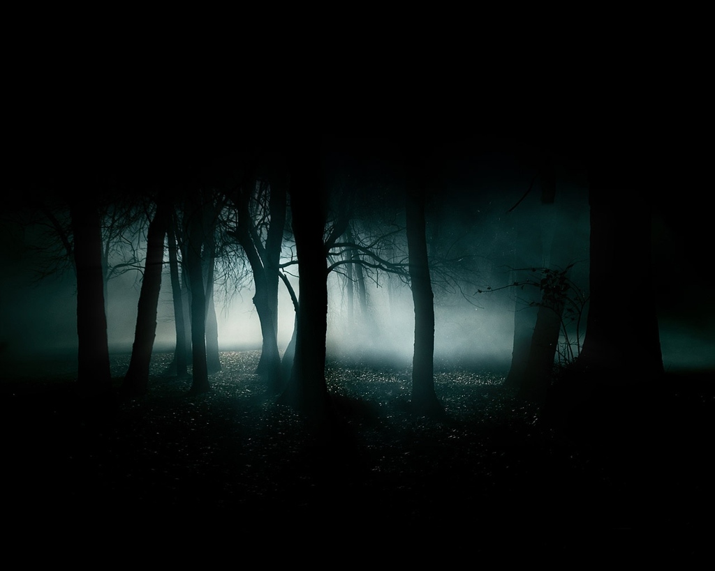 [Roleo de Zonama Sekot] Tarrlock <Sin terminar> [Aequans] Dark-forest-night-image