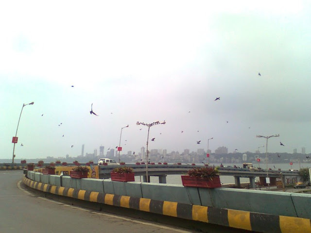 favorite-city-in-india-mumbai