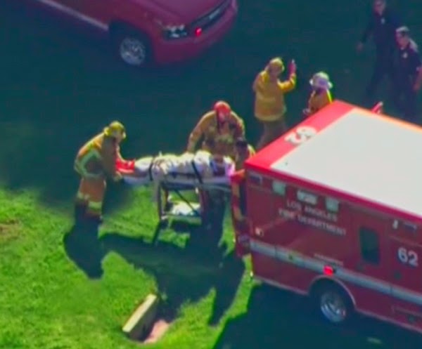 Harrison Ford muy grave, accidente avioneta Harrison Ford muy grave, accidente avioneta