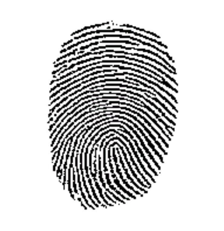 Babies Fingerprints