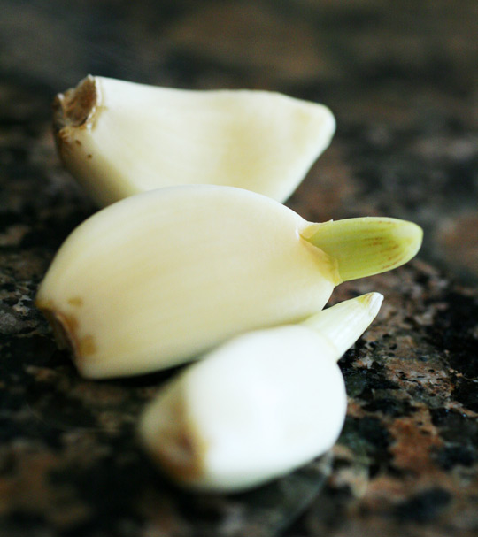 Organic Gardening HQ Recycling food scraps Foods you can regrow