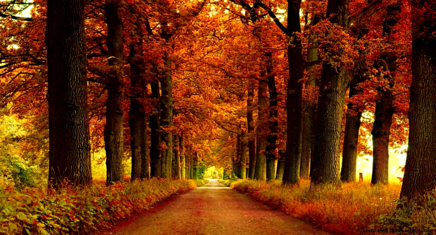 1600x900 Autumn park alley Wallpaper 1600x900 Autumn park alley Wallpaper