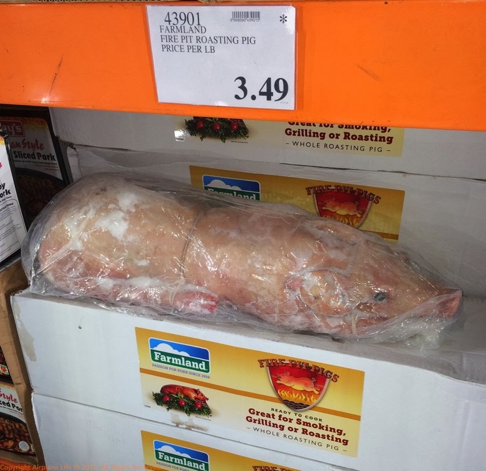 Airplane Life Whole Frozen Pig