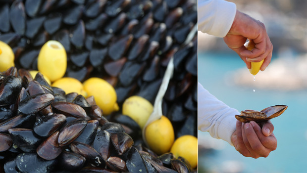 zengin olma sanati blogger