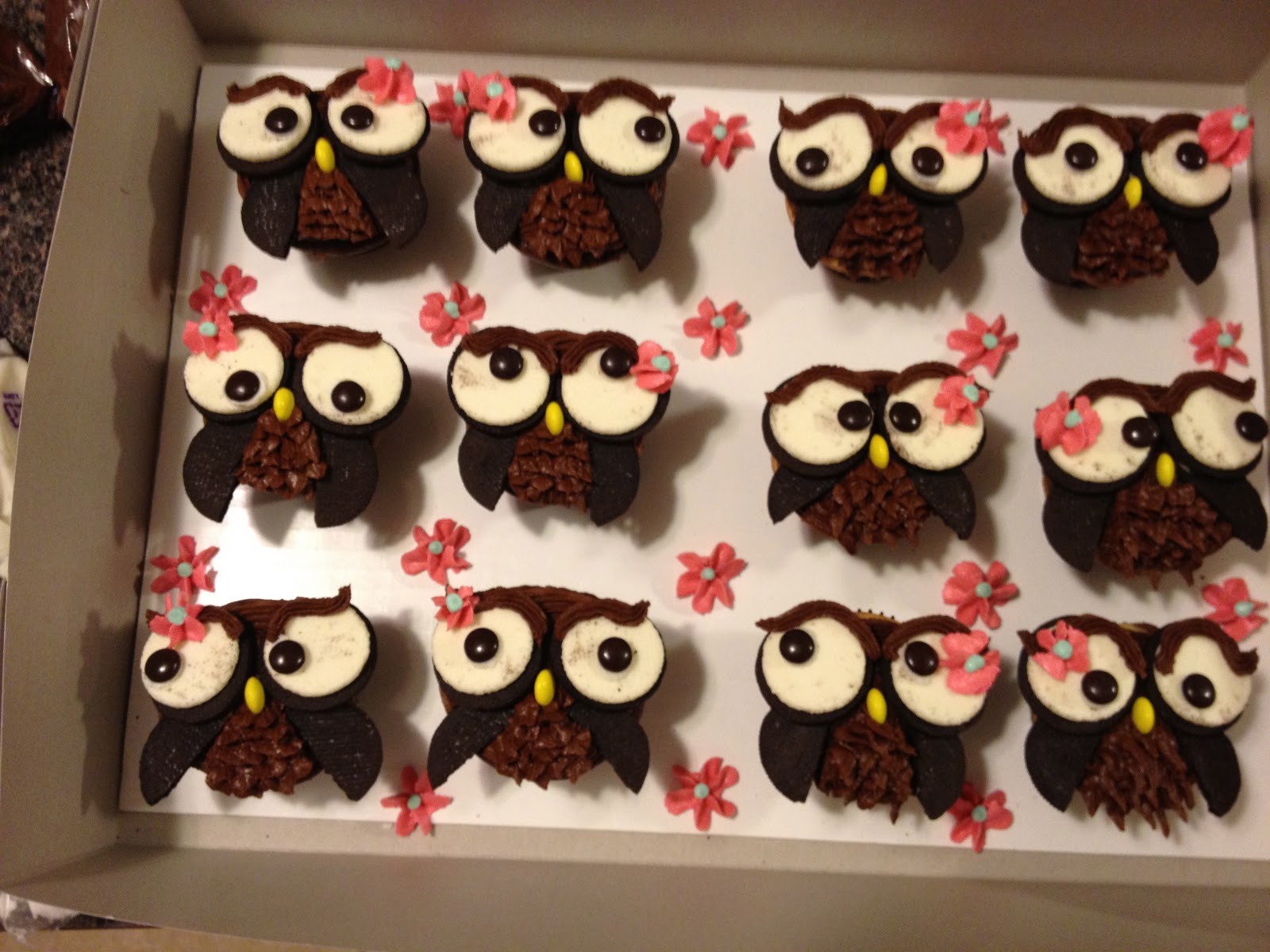 Sugar and Spice and Everything Iced Owl Cupcakes