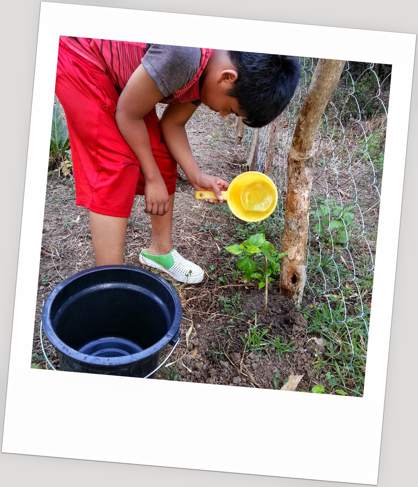 The Art Of Raising Boys From Showering to Watering The Plants The Letters In November