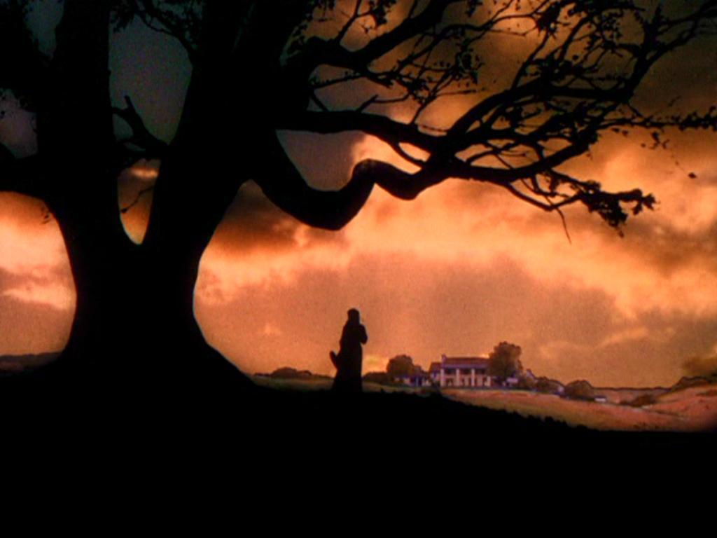 Gone with Wind