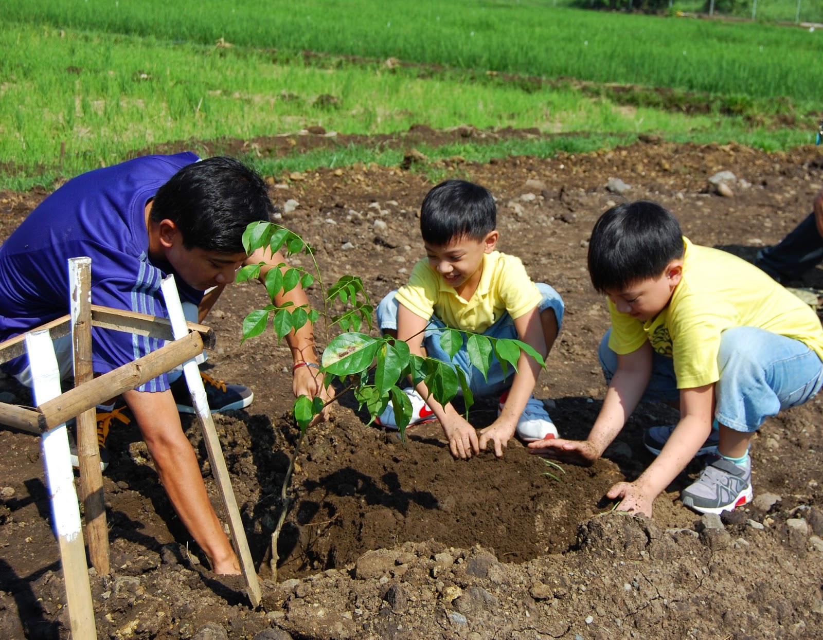 Image result for philippines planting trees