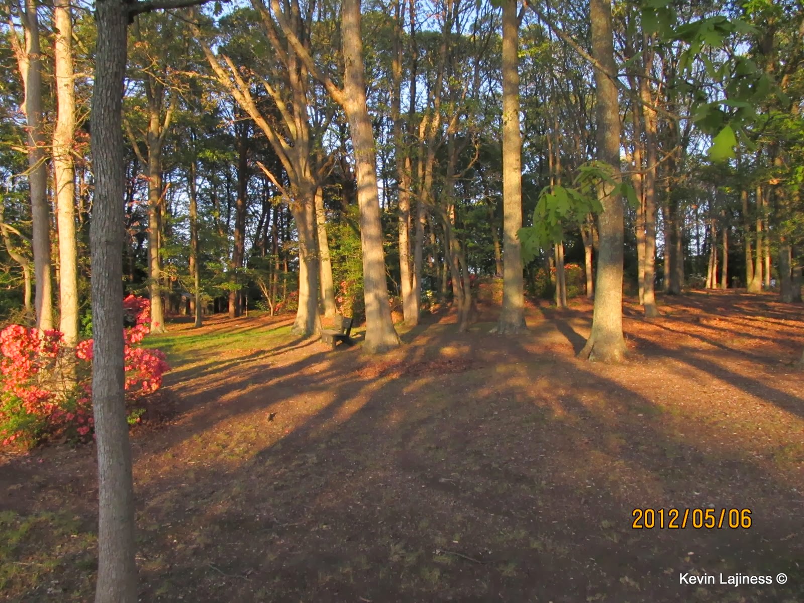 Dream Lady Hartshorne Park, Linwood, NJ Just a Beautiful Day