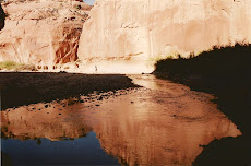 Paria River Reflection