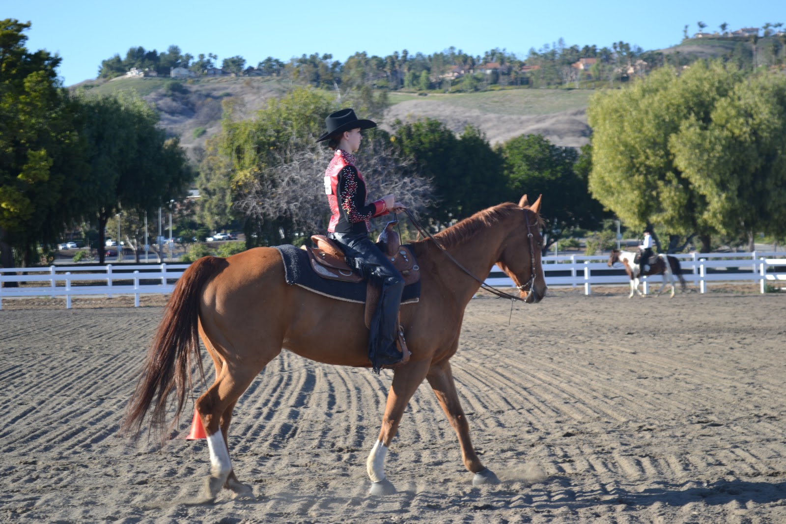 ASU Western Equestrian Team