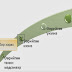 Adobe captivate програм ашиглан сургалтын цахим хэрэглэгдэхүүн бэлтгэх нь