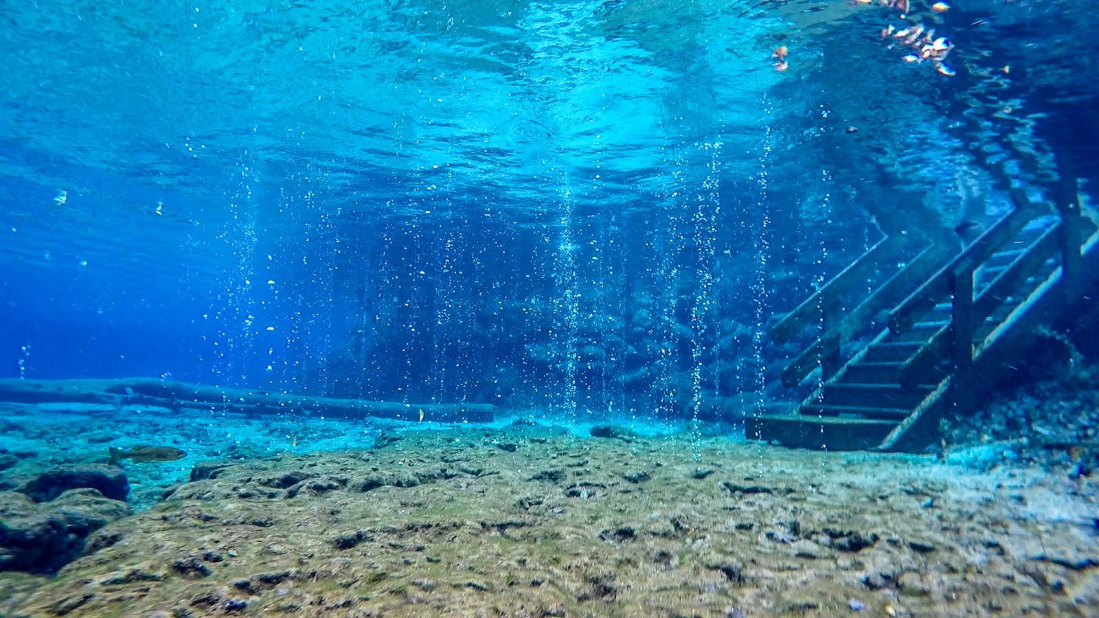 Ginnie Springs Ballroom Florida Freshwater Cavern Dive & A