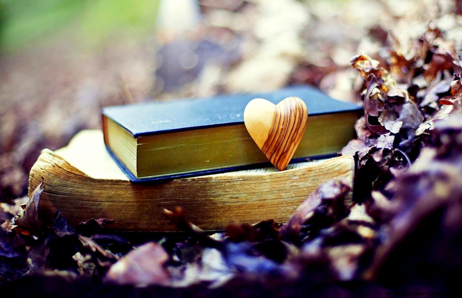 Autumn Leaves Books Heart Fall Love wallpaper  1680x1050  27897 Autumn Leaves Books Heart Fall Love wallpaper  1680x1050  27897