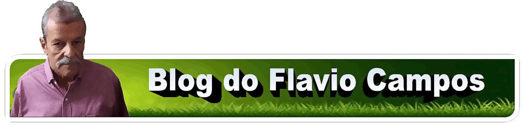 Blog do Flavio Campos