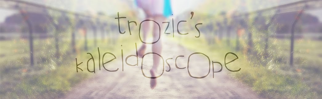 trozic's kaleidoscope