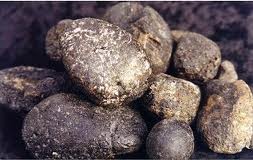 نقره لتكبير أو تصغير الصورة ونقرتين لعرض الصورة في صفحة مستقلة بحجمها الطبيعي