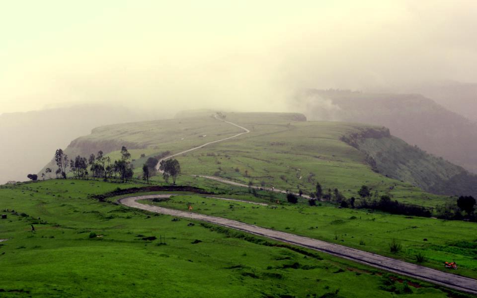 KAAS PLATEAU Amazing Maharashtra