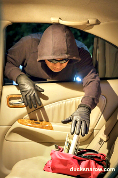 car thief protect car from theft #burglar #auto-safety #homesafetytips Ducks 'n a Row